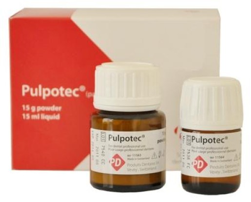 Пульпотек / Pulpotec - материал для лечения витальных моляров (15г+15г), PD / Швейцария
