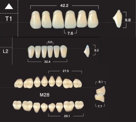 Зубы планка 28 шт MILLION NEW ACE T1/А3.5